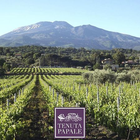 Tuttifrutti Holiday Acireale Εξωτερικό φωτογραφία